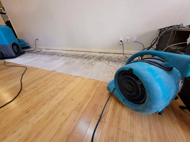 Reliable Basement Flood Cleanup contractor in Athens, IL by Hirex Water Damage
