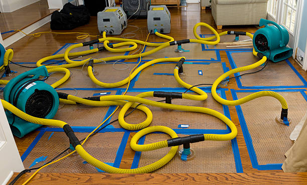 Professional Basement Flood Cleanup technician working in Athens, IL